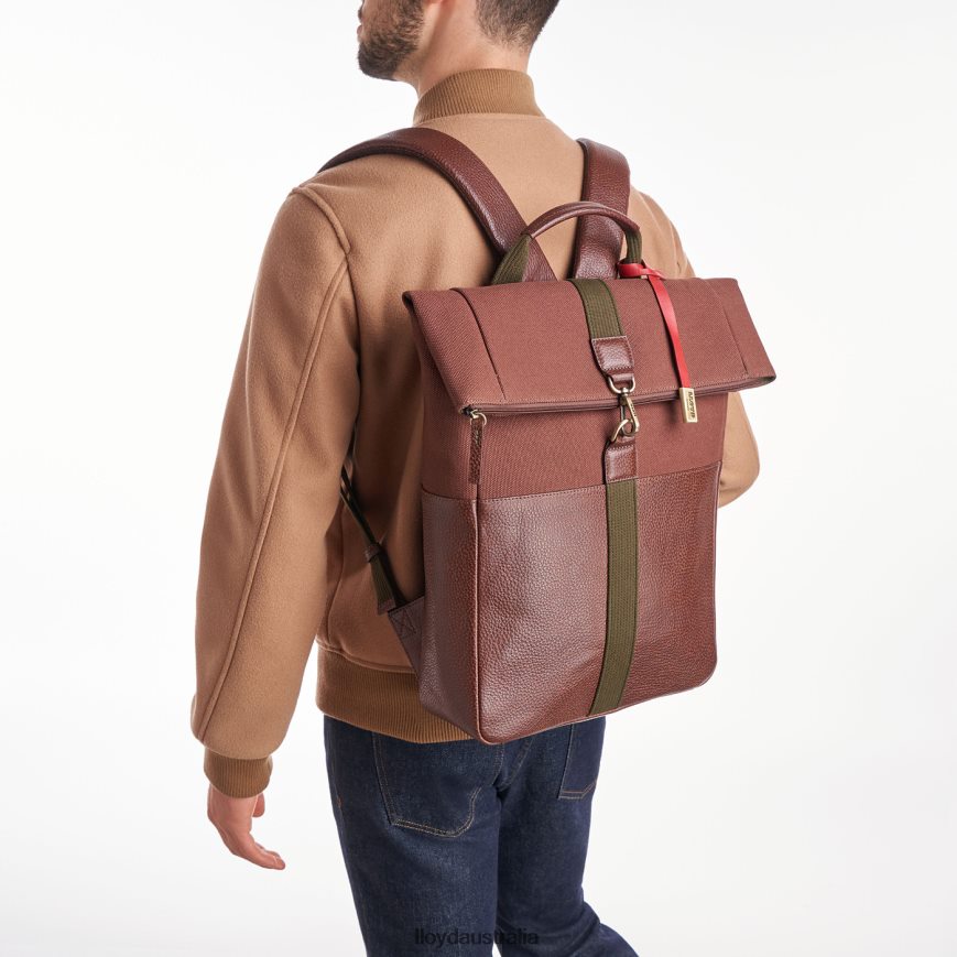 LLOYD Men Backpack brown Accessories H6PTLF650