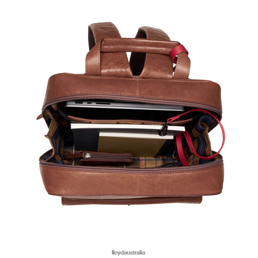 LLOYD Men Backpack brown Accessories H6PTLF651