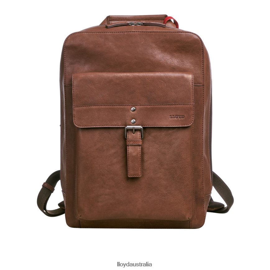 LLOYD Men Backpack brown Accessories H6PTLF651
