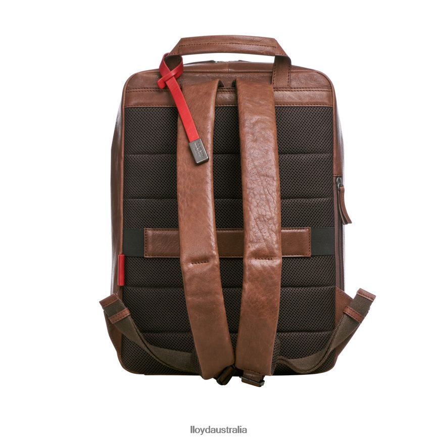 LLOYD Men Backpack brown Accessories H6PTLF651