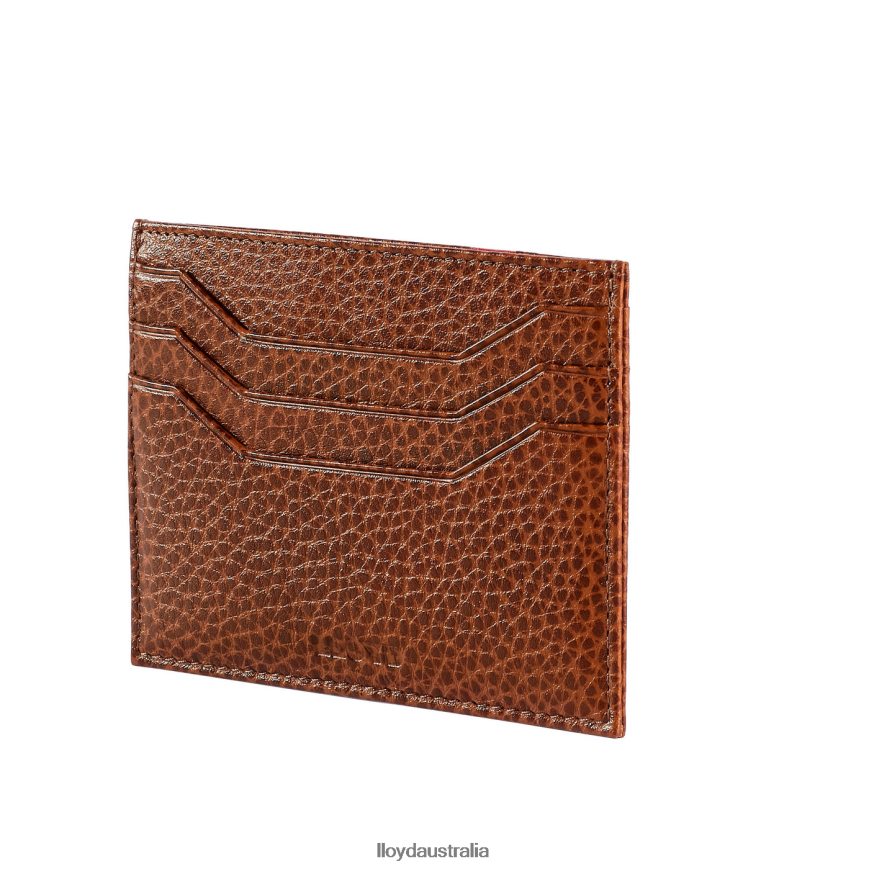 LLOYD Men CARDHOLDER brown Accessories H6PTLF657