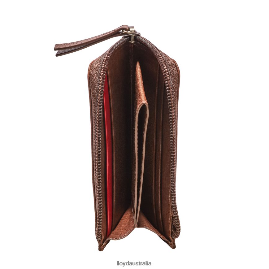 LLOYD Men CARDHOLDER brown Accessories H6PTLF660