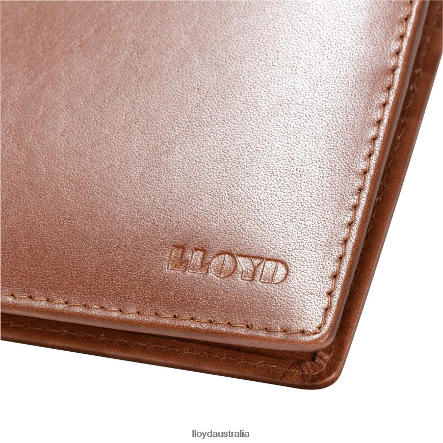 LLOYD Men CARD POCKET brown Accessories H6PTLF671
