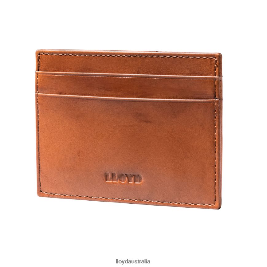 LLOYD Men CREDIT CARD CASE brown Accessories H6PTLF661