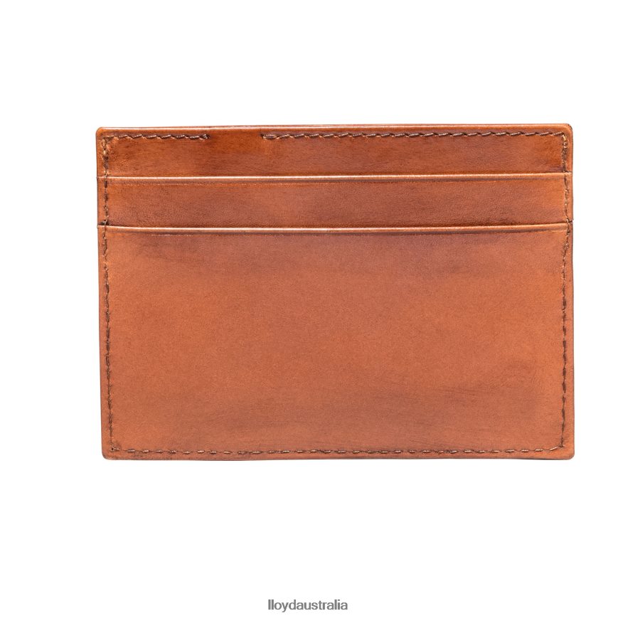 LLOYD Men CREDIT CARD CASE brown Accessories H6PTLF661