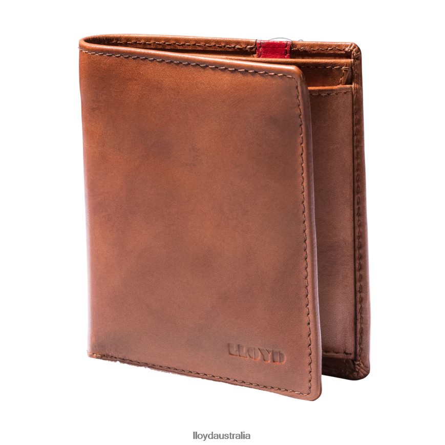LLOYD Men POCKET brown Accessories H6PTLF656
