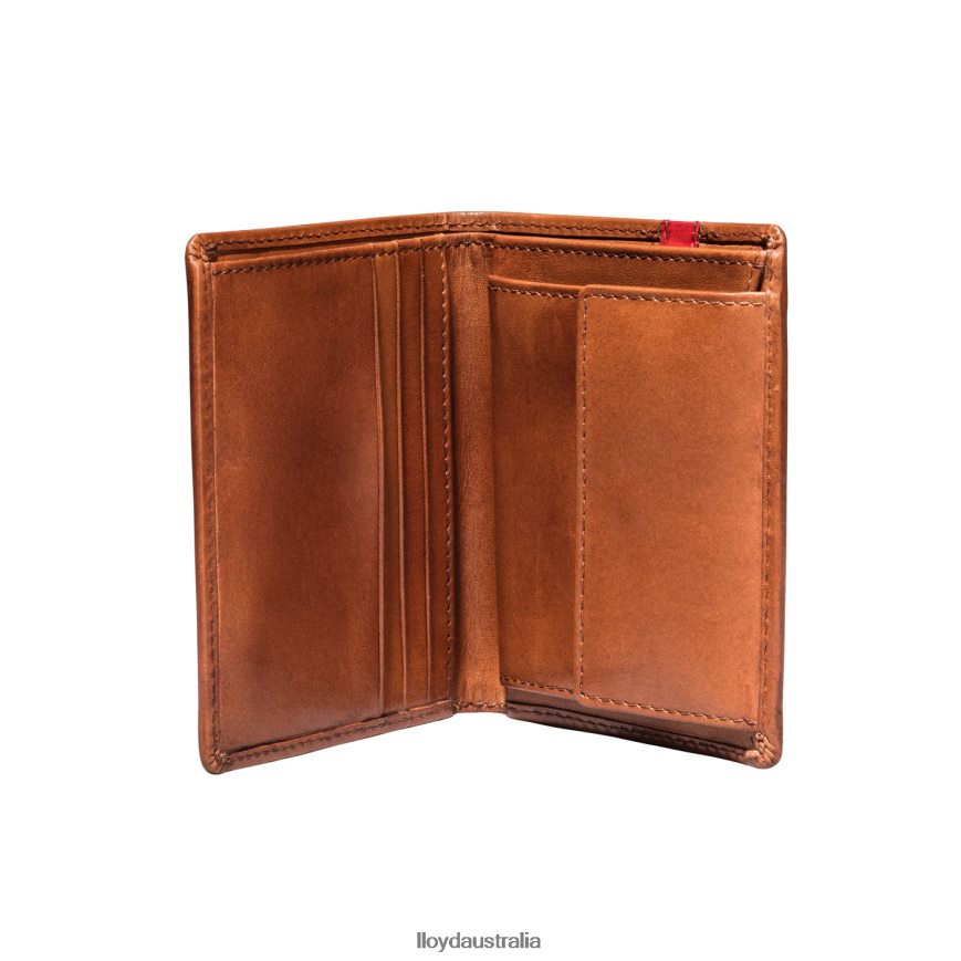 LLOYD Men POCKET brown Accessories H6PTLF656