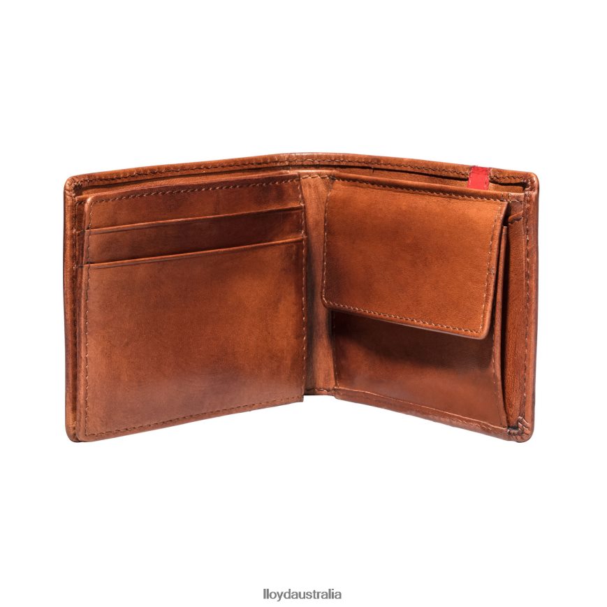 LLOYD Men POCKET brown Accessories H6PTLF677