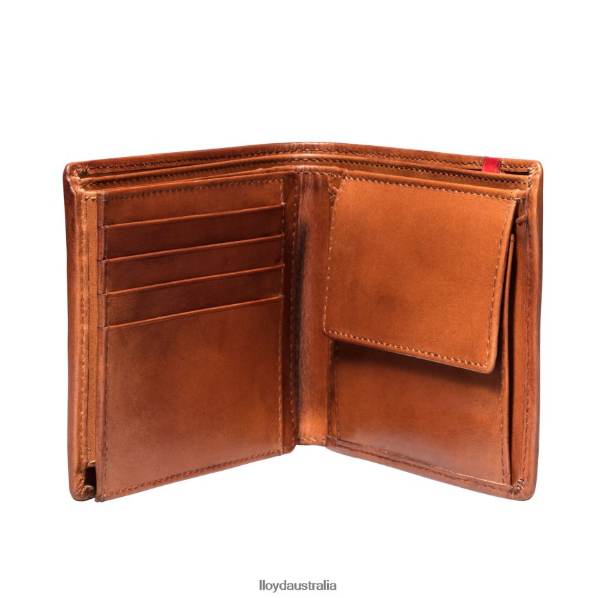 LLOYD Men POCKET brown Accessories H6PTLF680