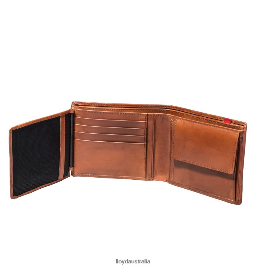 LLOYD Men POCKET brown Accessories H6PTLF680