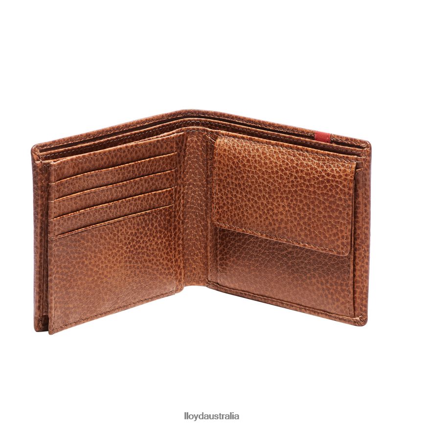 LLOYD Men WALLET brown Accessories H6PTLF669