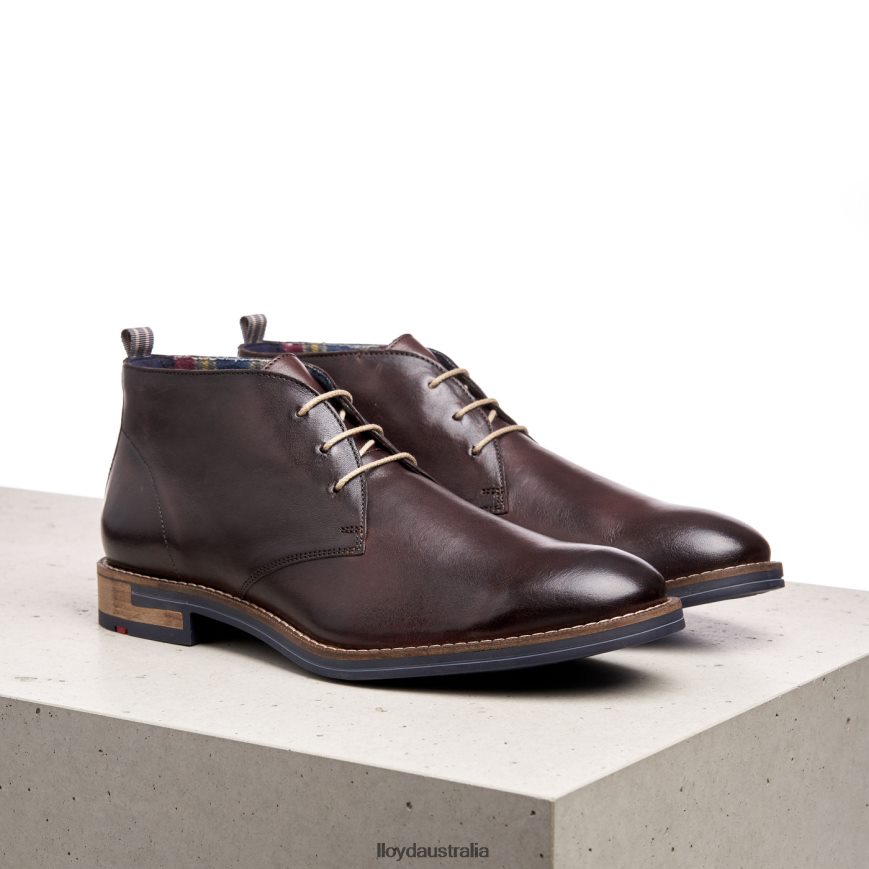 LLOYD Men DANIEL brown Shoes H6PTLF168