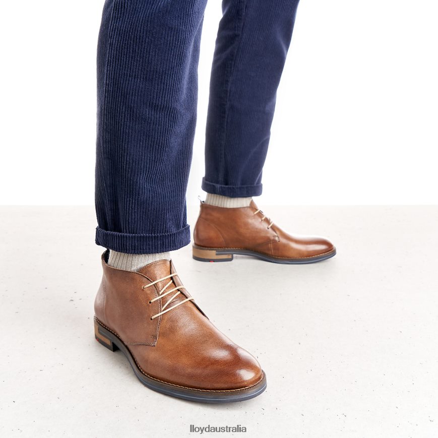 LLOYD Men DANIEL brown Shoes H6PTLF549