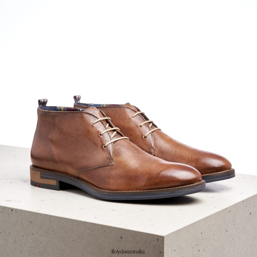 LLOYD Men DANIEL brown Shoes H6PTLF549