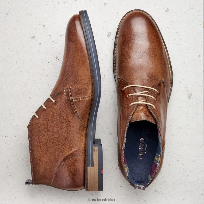 LLOYD Men DANIEL brown Shoes H6PTLF549
