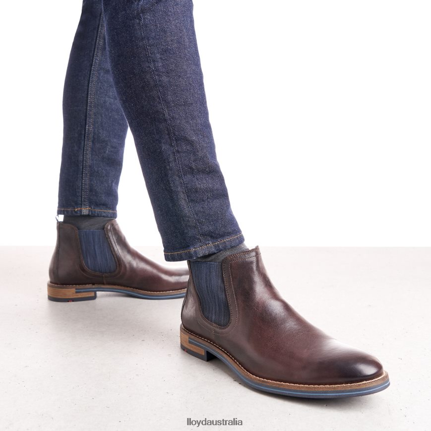 LLOYD Men DARIO brown Shoes H6PTLF1342