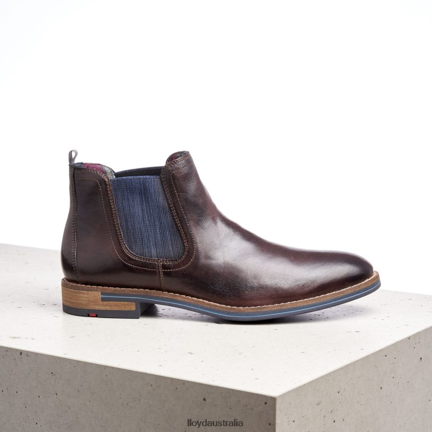 LLOYD Men DARIO brown Shoes H6PTLF1342