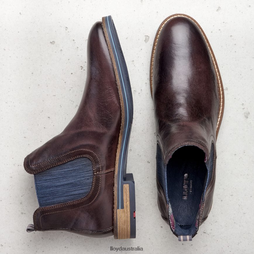 LLOYD Men DARIO brown Shoes H6PTLF1342