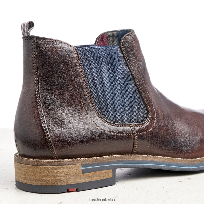 LLOYD Men DARIO brown Shoes H6PTLF1342