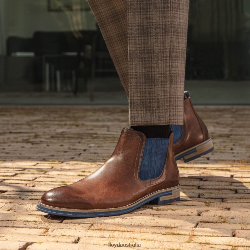 LLOYD Men DARIO brown Shoes H6PTLF1343
