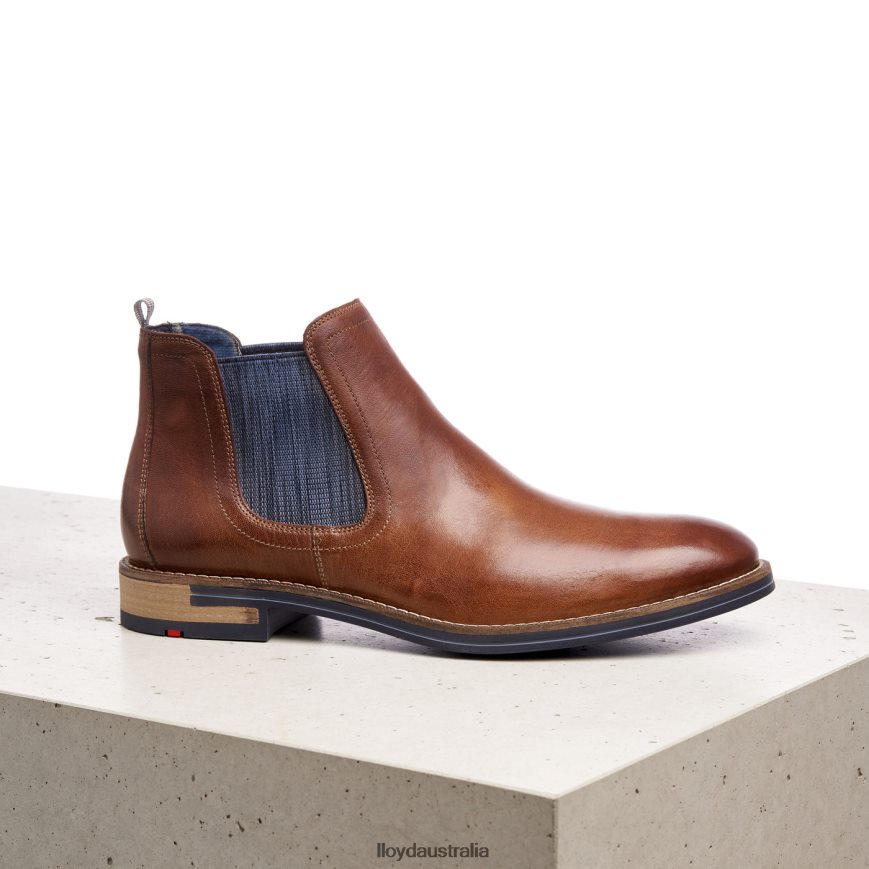 LLOYD Men DARIO brown Shoes H6PTLF1343