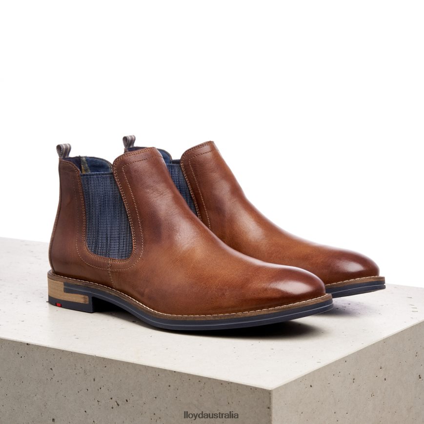 LLOYD Men DARIO brown Shoes H6PTLF1343