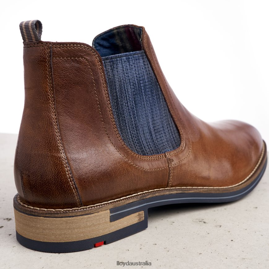 LLOYD Men DARIO brown Shoes H6PTLF1343