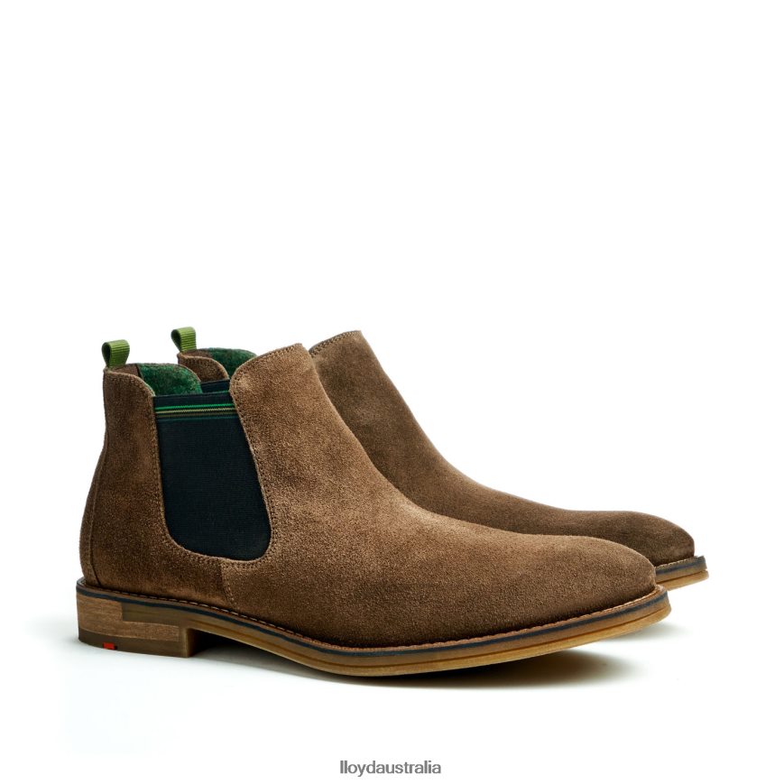 LLOYD Men DARRY brown Shoes H6PTLF457
