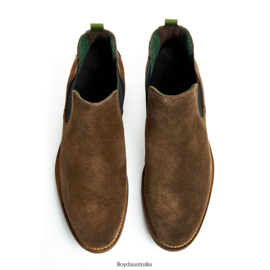 LLOYD Men DARRY brown Shoes H6PTLF457