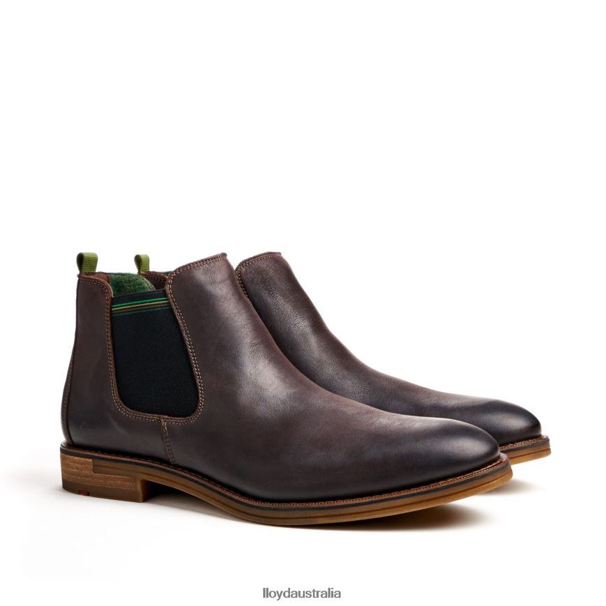 LLOYD Men DARRY brown Shoes H6PTLF459