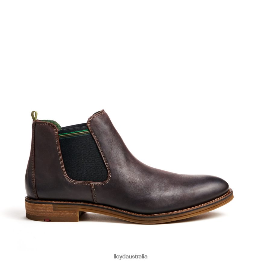 LLOYD Men DARRY brown Shoes H6PTLF459