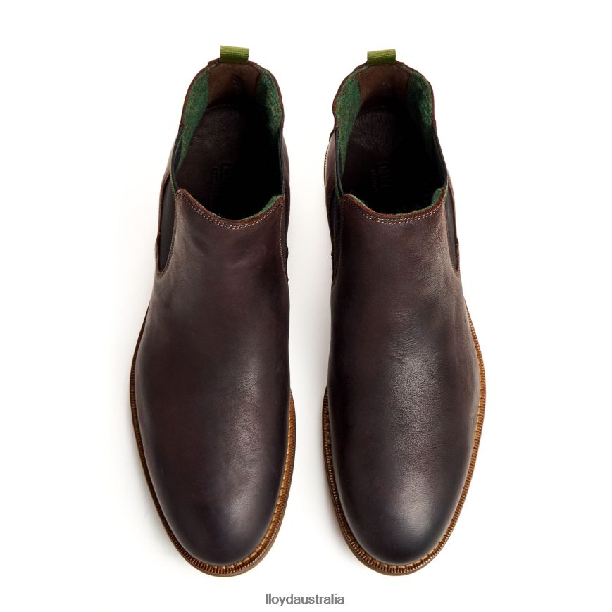 LLOYD Men DARRY brown Shoes H6PTLF459