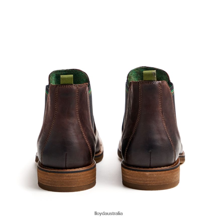 LLOYD Men DARRY brown Shoes H6PTLF459