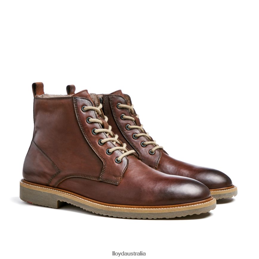 LLOYD Men DARWIN brown Shoes H6PTLF475