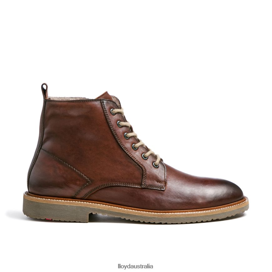 LLOYD Men DARWIN brown Shoes H6PTLF475