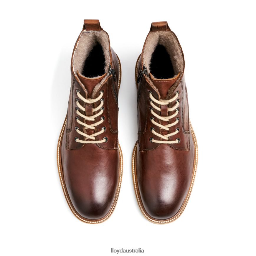 LLOYD Men DARWIN brown Shoes H6PTLF475