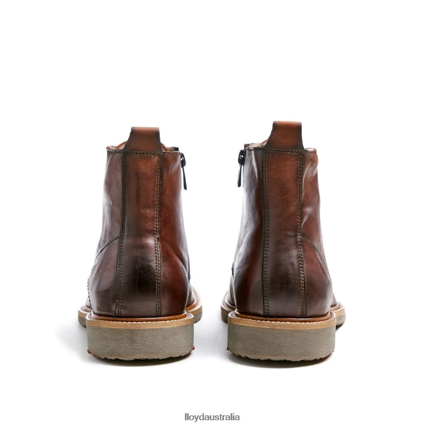 LLOYD Men DARWIN brown Shoes H6PTLF475