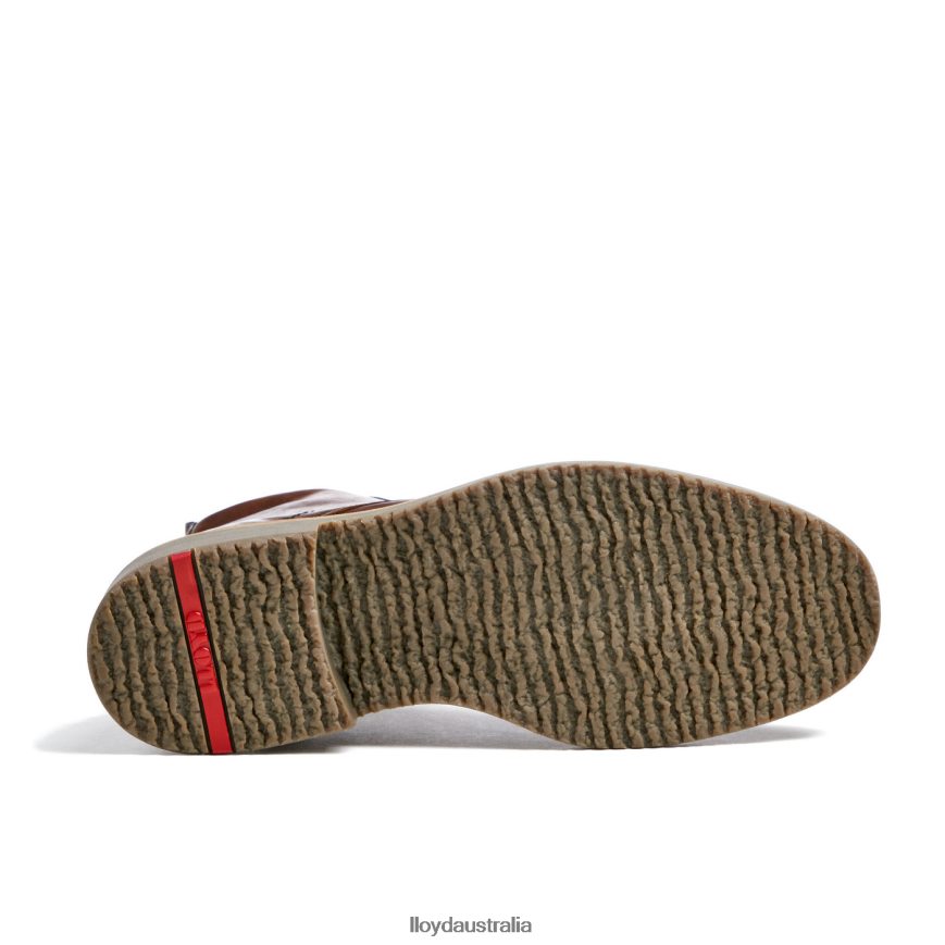 LLOYD Men DARWIN brown Shoes H6PTLF475