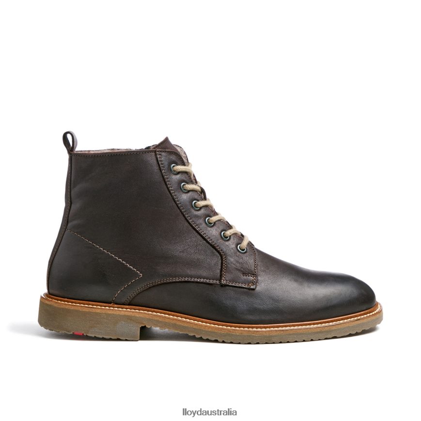 LLOYD Men DARWIN brown Shoes H6PTLF476