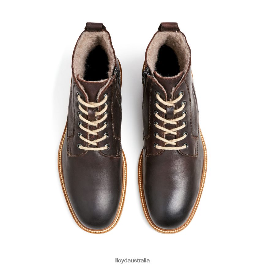 LLOYD Men DARWIN brown Shoes H6PTLF476