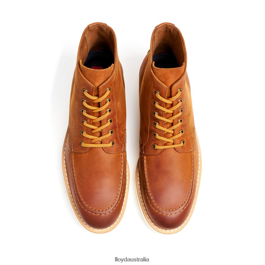 LLOYD Men DEBAR brown Shoes H6PTLF501