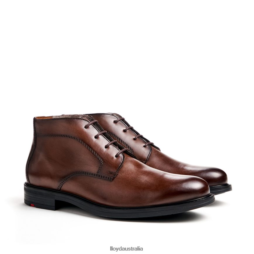 LLOYD Men DELAWARE brown Shoes H6PTLF461
