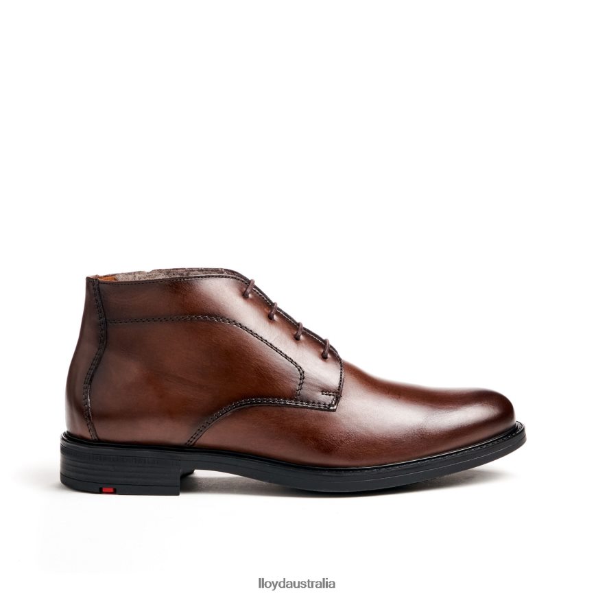 LLOYD Men DELAWARE brown Shoes H6PTLF461