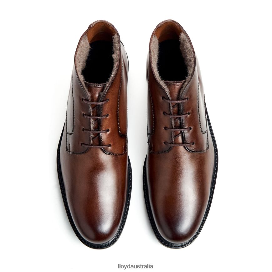 LLOYD Men DELAWARE brown Shoes H6PTLF461