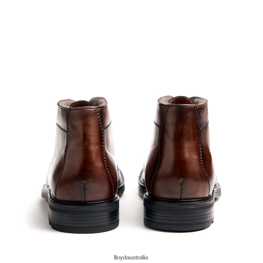 LLOYD Men DELAWARE brown Shoes H6PTLF461