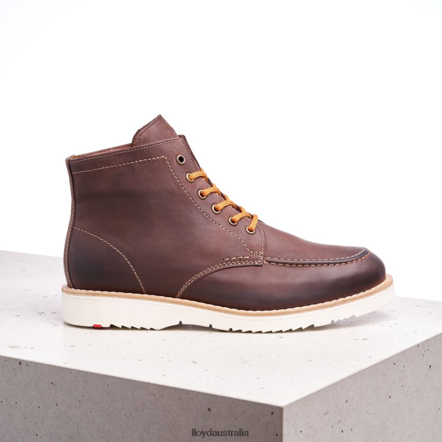 LLOYD Men DENIER brown Shoes H6PTLF504