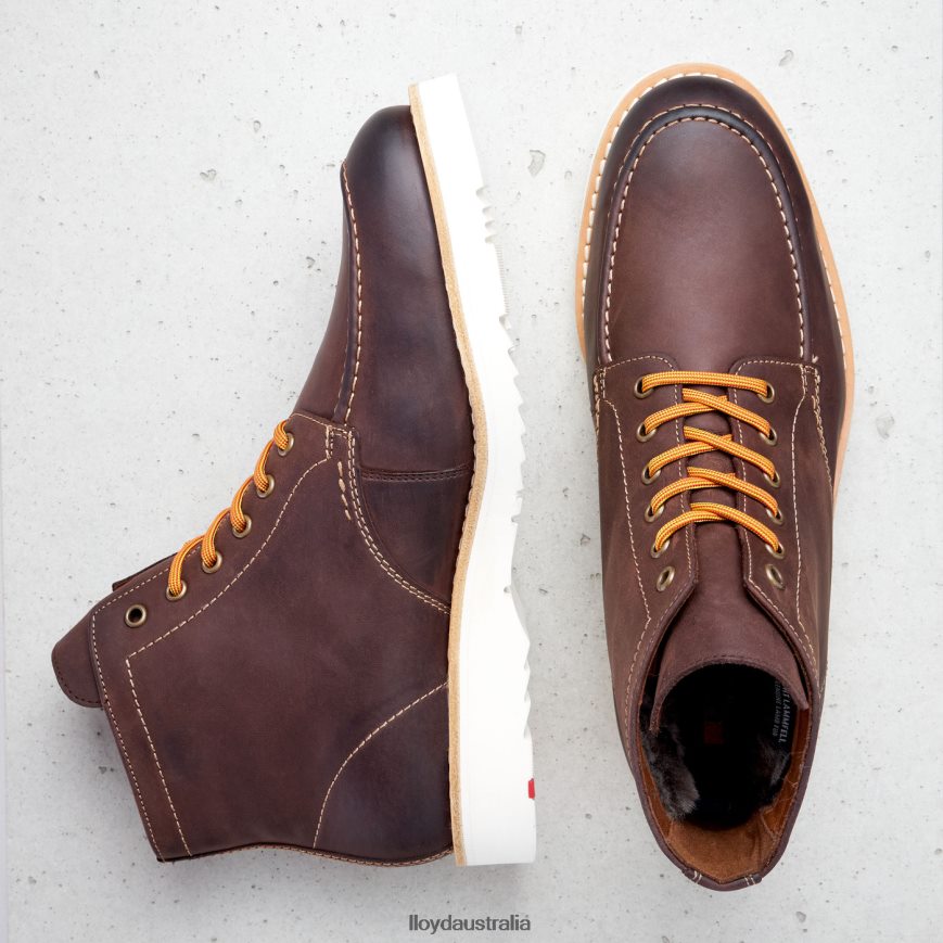 LLOYD Men DENIER brown Shoes H6PTLF504