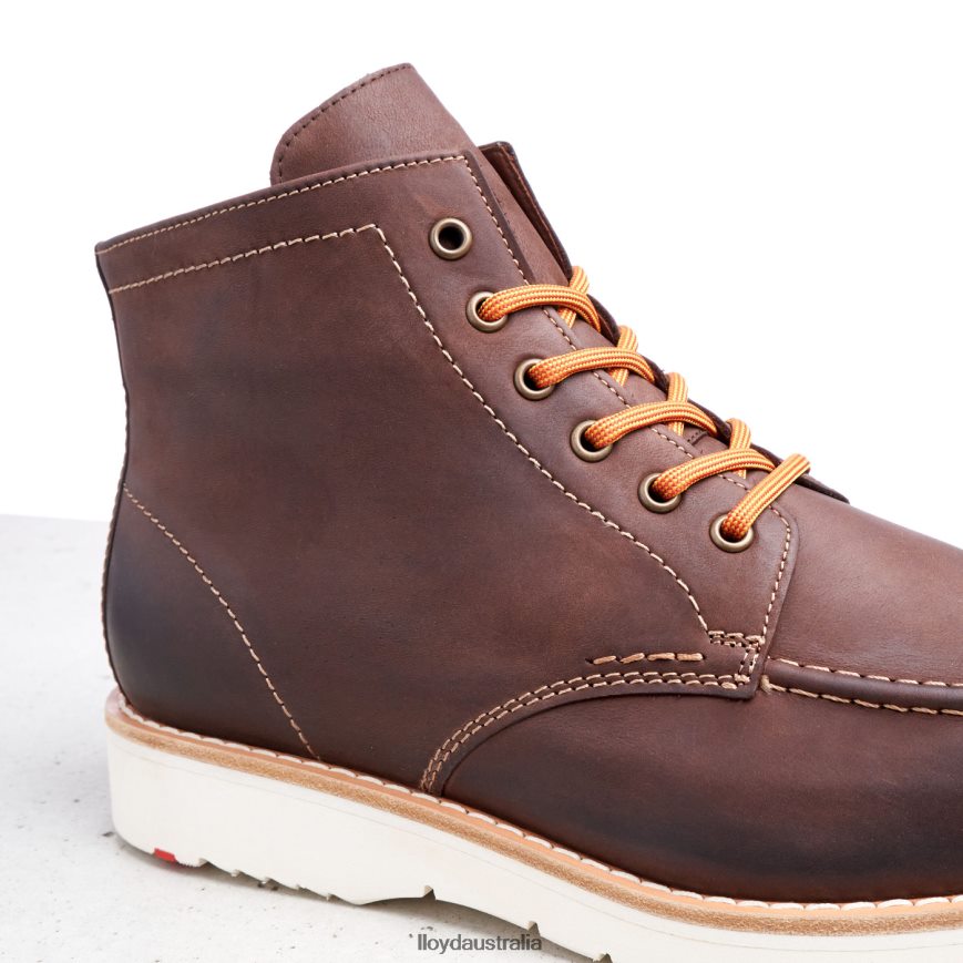 LLOYD Men DENIER brown Shoes H6PTLF504