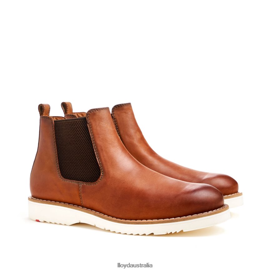 LLOYD Men DENTON brown Shoes H6PTLF477