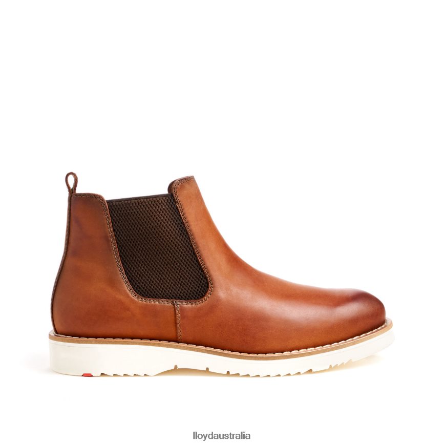 LLOYD Men DENTON brown Shoes H6PTLF477